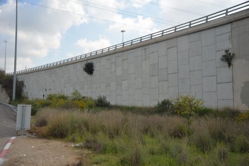 לוחות עץ-כביש 431